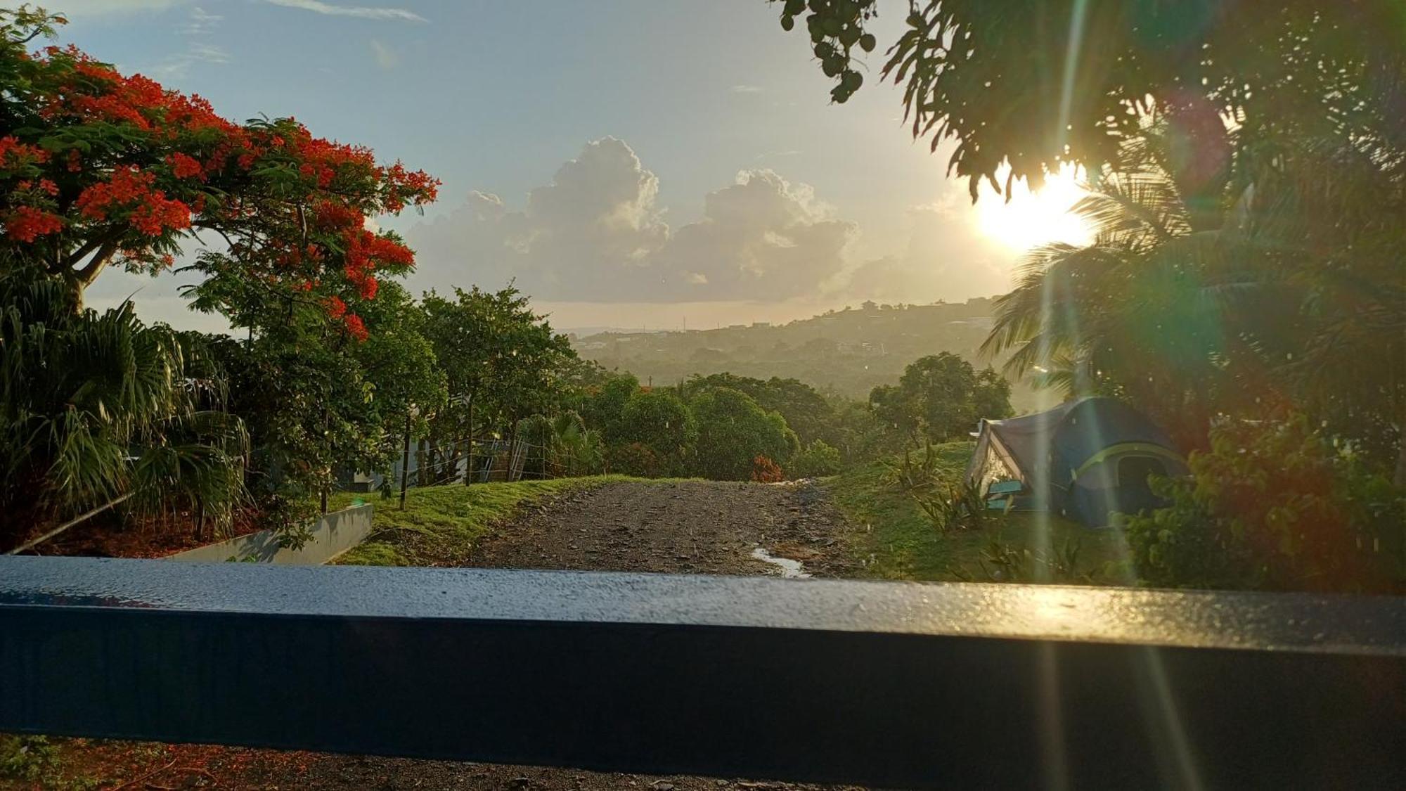 Rooster Run Glamping Camping Has Rooftop And Off The Ground Glamping Experience For 1 To 16 In A Single Tent And Views Of The Rain Forrest And To Culebra Across The Atlantic Ocean W Tents, Linens, Deluxe Air Beds, Warm Shower And More At A Great Pric Vieques Exterior foto