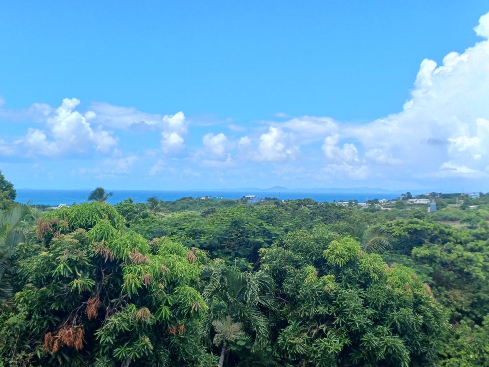 Rooster Run Glamping Camping Has Rooftop And Off The Ground Glamping Experience For 1 To 16 In A Single Tent And Views Of The Rain Forrest And To Culebra Across The Atlantic Ocean W Tents, Linens, Deluxe Air Beds, Warm Shower And More At A Great Pric Vieques Exterior foto