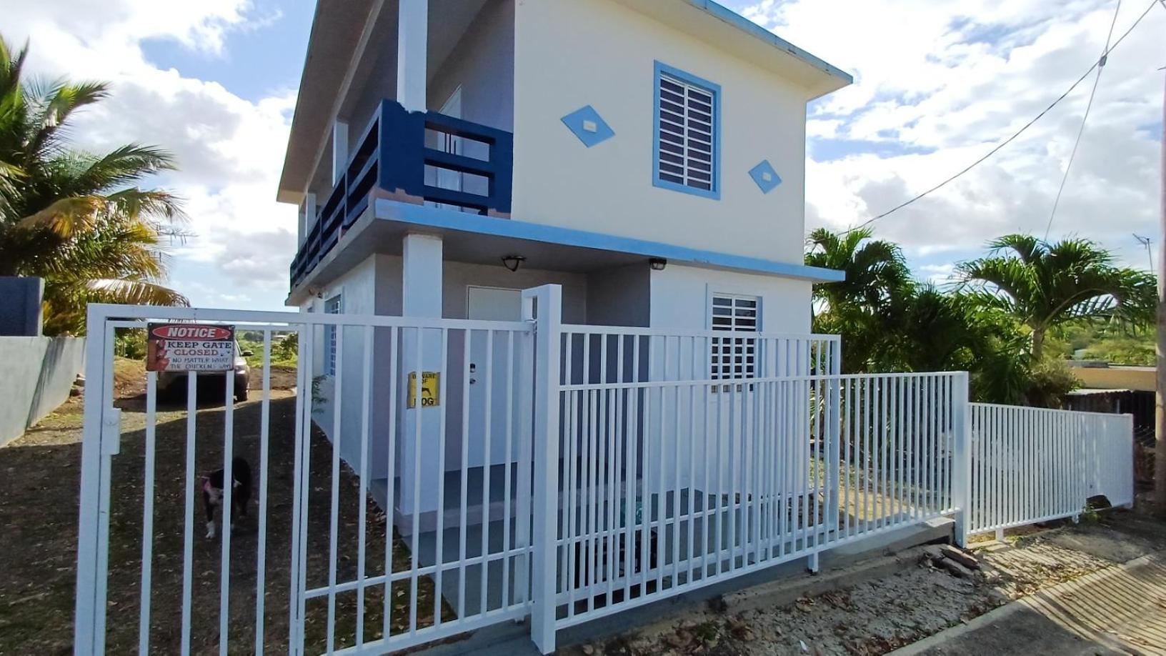 Rooster Run Glamping Camping Has Rooftop And Off The Ground Glamping Experience For 1 To 16 In A Single Tent And Views Of The Rain Forrest And To Culebra Across The Atlantic Ocean W Tents, Linens, Deluxe Air Beds, Warm Shower And More At A Great Pric Vieques Exterior foto