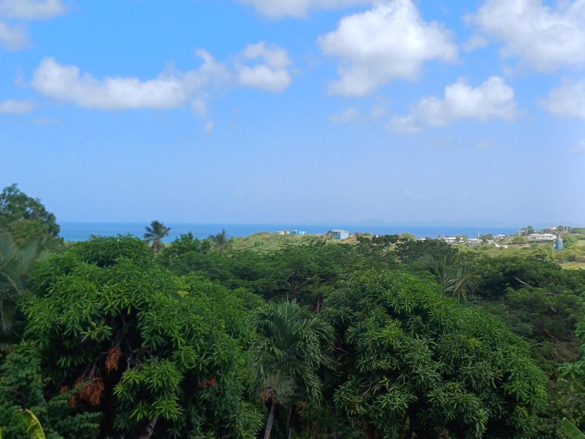 Rooster Run Glamping Camping Has Rooftop And Off The Ground Glamping Experience For 1 To 16 In A Single Tent And Views Of The Rain Forrest And To Culebra Across The Atlantic Ocean W Tents, Linens, Deluxe Air Beds, Warm Shower And More At A Great Pric Vieques Exterior foto