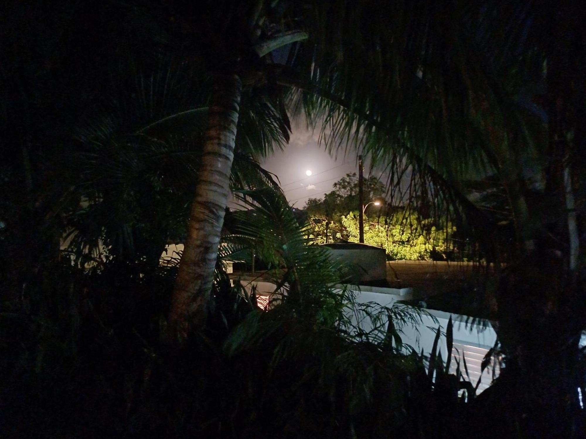 Rooster Run Glamping Camping Has Rooftop And Off The Ground Glamping Experience For 1 To 16 In A Single Tent And Views Of The Rain Forrest And To Culebra Across The Atlantic Ocean W Tents, Linens, Deluxe Air Beds, Warm Shower And More At A Great Pric Vieques Exterior foto