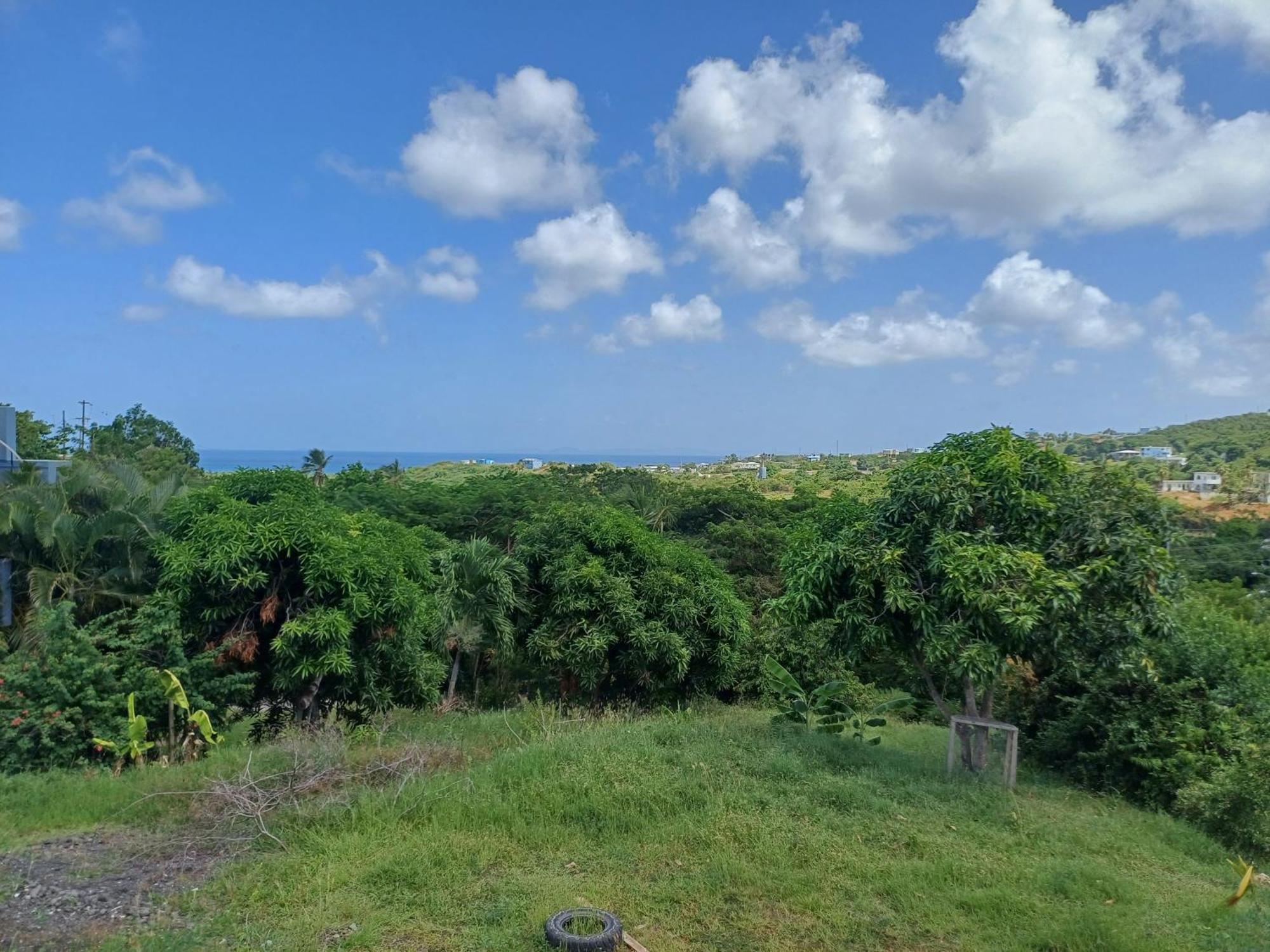 Rooster Run Glamping Camping Has Rooftop And Off The Ground Glamping Experience For 1 To 16 In A Single Tent And Views Of The Rain Forrest And To Culebra Across The Atlantic Ocean W Tents, Linens, Deluxe Air Beds, Warm Shower And More At A Great Pric Vieques Exterior foto