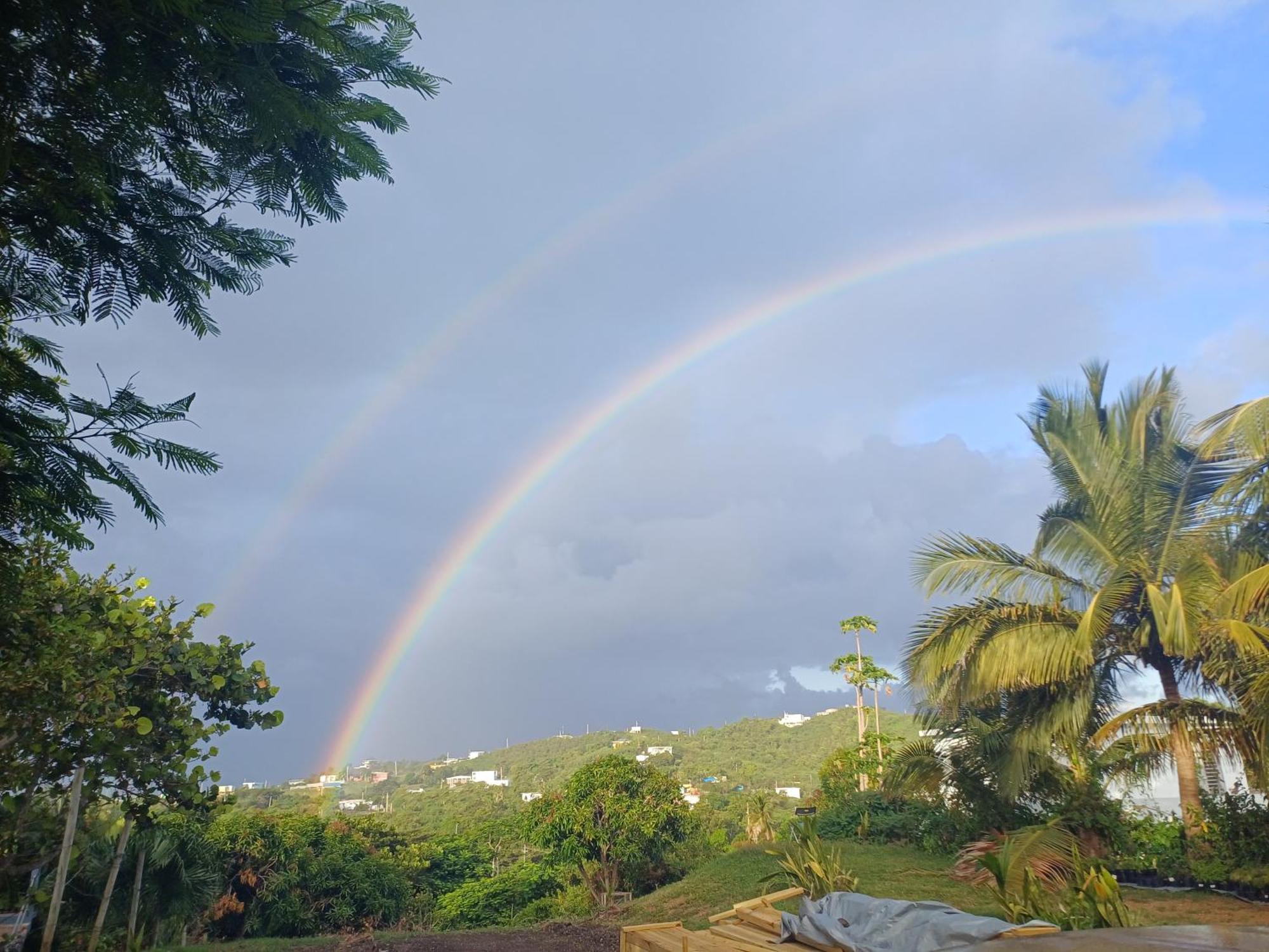 Rooster Run Glamping Camping Has Rooftop And Off The Ground Glamping Experience For 1 To 16 In A Single Tent And Views Of The Rain Forrest And To Culebra Across The Atlantic Ocean W Tents, Linens, Deluxe Air Beds, Warm Shower And More At A Great Pric Vieques Exterior foto