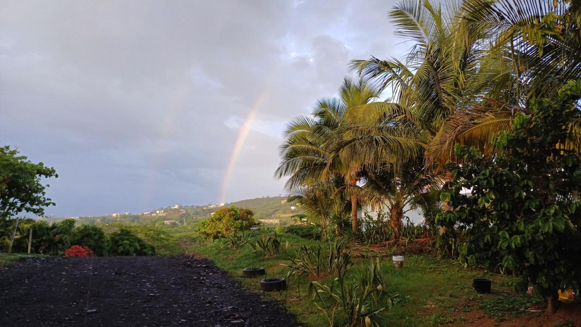 Rooster Run Glamping Camping Has Rooftop And Off The Ground Glamping Experience For 1 To 16 In A Single Tent And Views Of The Rain Forrest And To Culebra Across The Atlantic Ocean W Tents, Linens, Deluxe Air Beds, Warm Shower And More At A Great Pric Vieques Exterior foto
