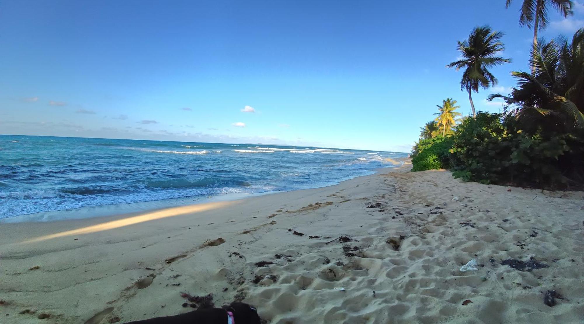 Rooster Run Glamping Camping Has Rooftop And Off The Ground Glamping Experience For 1 To 16 In A Single Tent And Views Of The Rain Forrest And To Culebra Across The Atlantic Ocean W Tents, Linens, Deluxe Air Beds, Warm Shower And More At A Great Pric Vieques Exterior foto