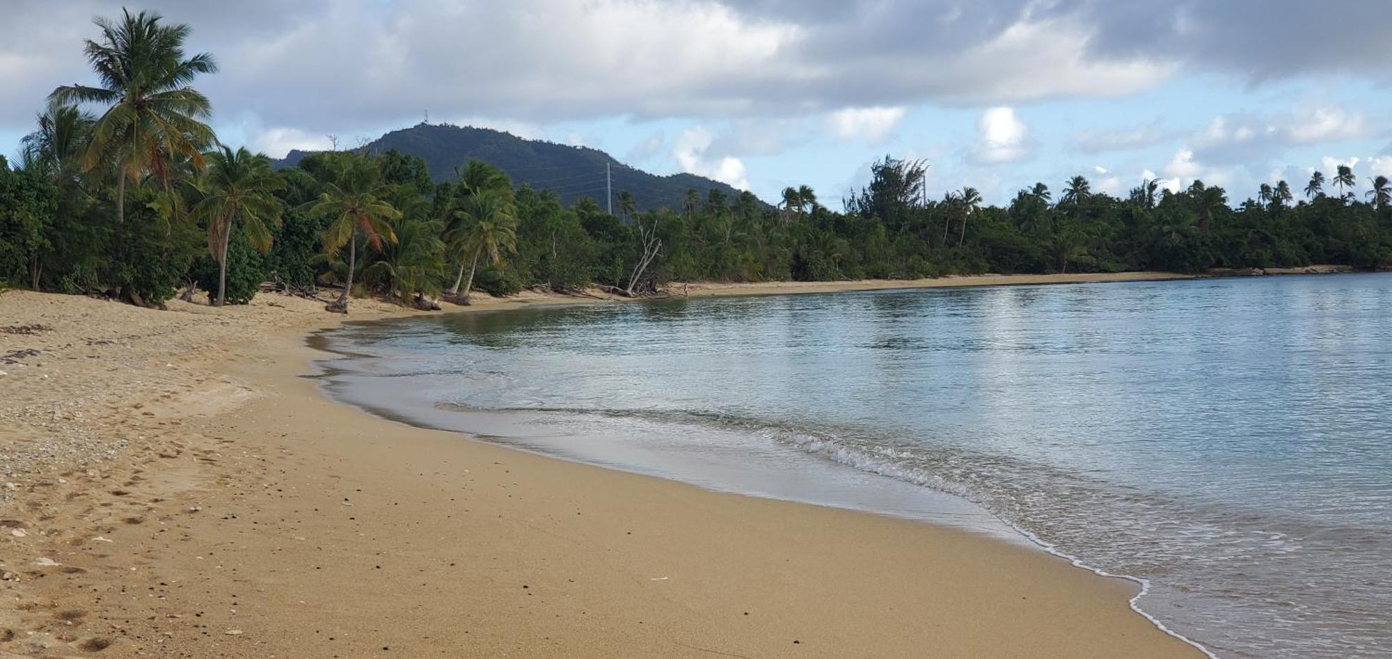 Rooster Run Glamping Camping Has Rooftop And Off The Ground Glamping Experience For 1 To 16 In A Single Tent And Views Of The Rain Forrest And To Culebra Across The Atlantic Ocean W Tents, Linens, Deluxe Air Beds, Warm Shower And More At A Great Pric Vieques Exterior foto