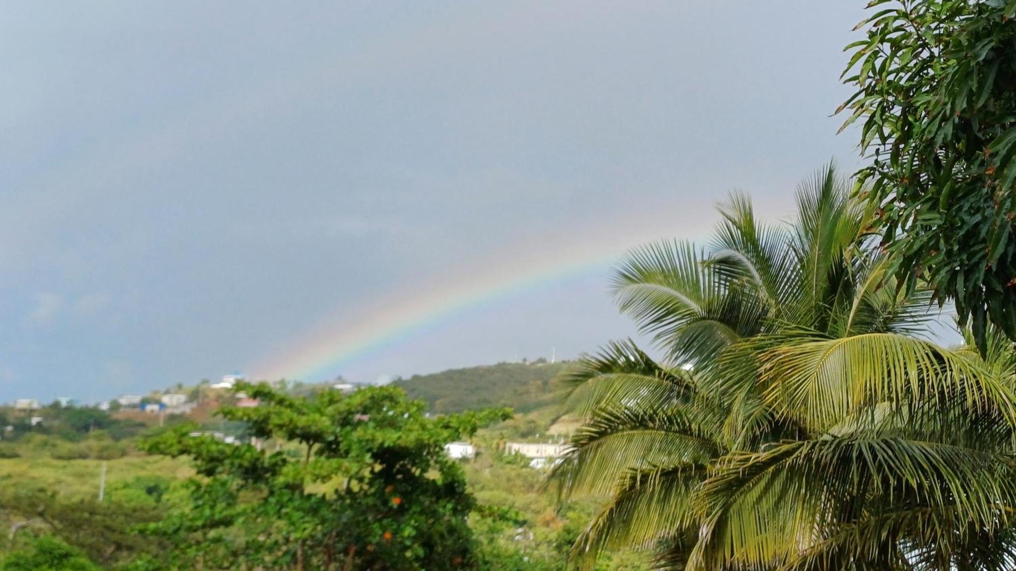 Rooster Run Glamping Camping Has Rooftop And Off The Ground Glamping Experience For 1 To 16 In A Single Tent And Views Of The Rain Forrest And To Culebra Across The Atlantic Ocean W Tents, Linens, Deluxe Air Beds, Warm Shower And More At A Great Pric Vieques Exterior foto