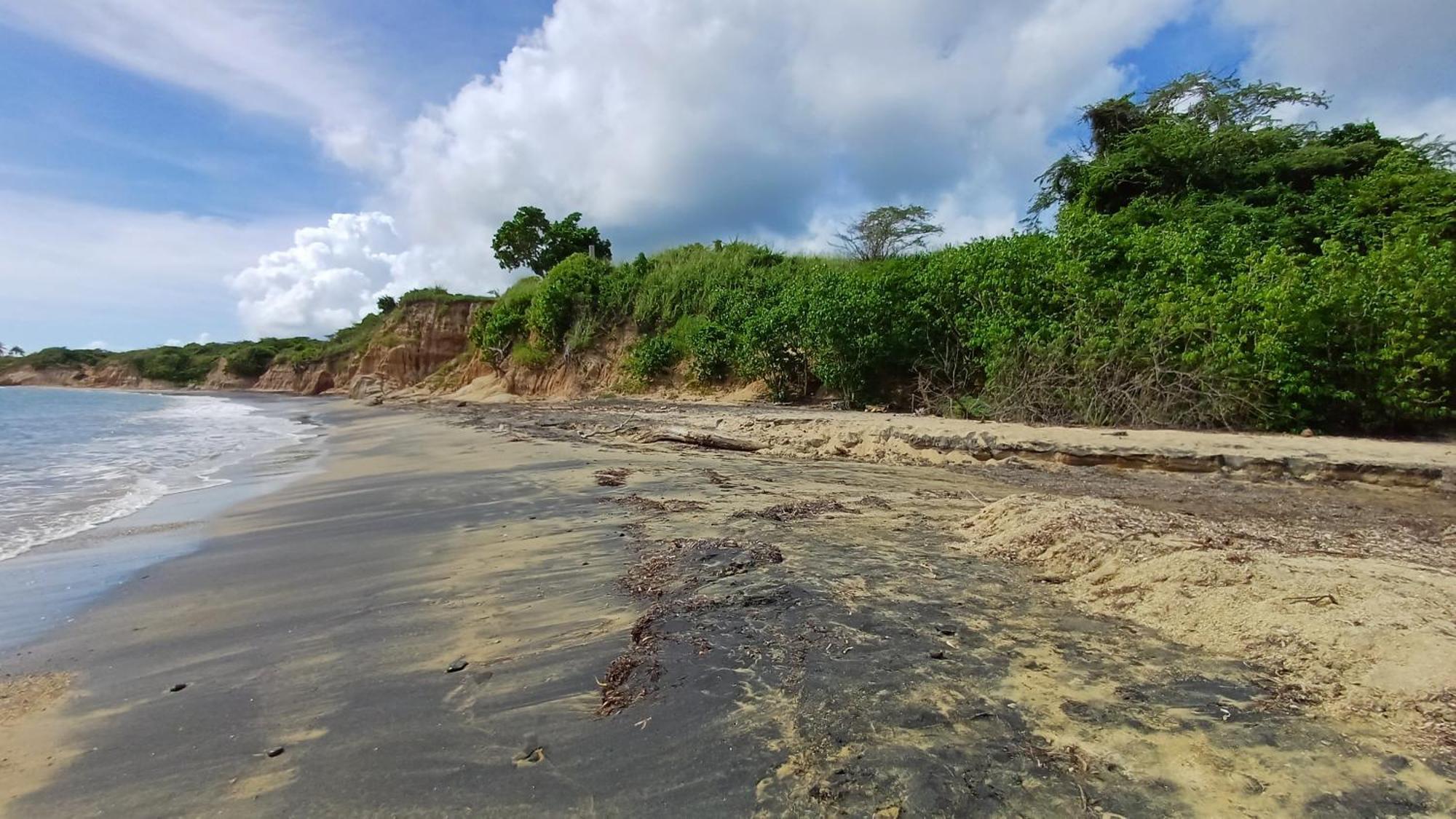 Rooster Run Glamping Camping Has Rooftop And Off The Ground Glamping Experience For 1 To 16 In A Single Tent And Views Of The Rain Forrest And To Culebra Across The Atlantic Ocean W Tents, Linens, Deluxe Air Beds, Warm Shower And More At A Great Pric Vieques Exterior foto
