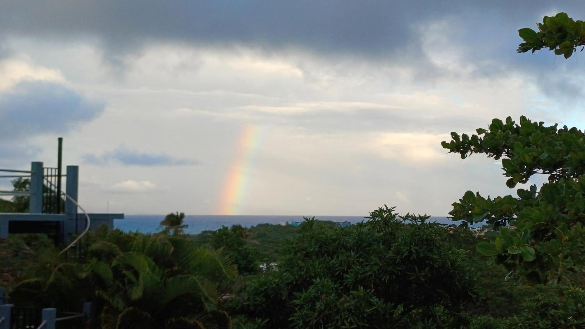Rooster Run Glamping Camping Has Rooftop And Off The Ground Glamping Experience For 1 To 16 In A Single Tent And Views Of The Rain Forrest And To Culebra Across The Atlantic Ocean W Tents, Linens, Deluxe Air Beds, Warm Shower And More At A Great Pric Vieques Exterior foto