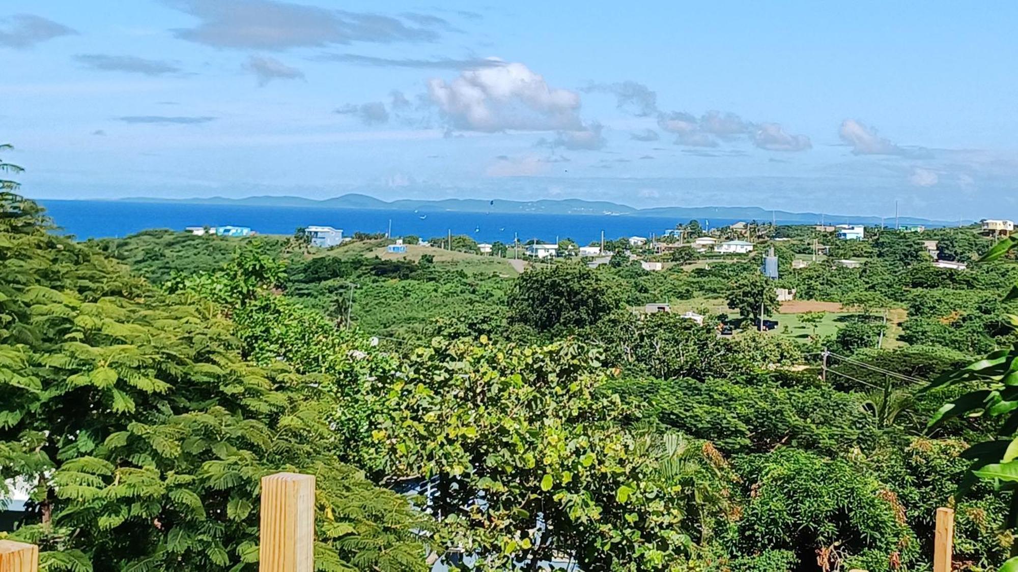 Rooster Run Glamping Camping Has Rooftop And Off The Ground Glamping Experience For 1 To 16 In A Single Tent And Views Of The Rain Forrest And To Culebra Across The Atlantic Ocean W Tents, Linens, Deluxe Air Beds, Warm Shower And More At A Great Pric Vieques Exterior foto